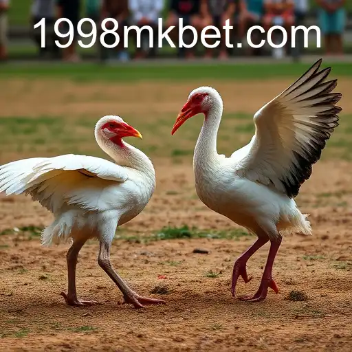 Explorando o Universo do Sabong Online